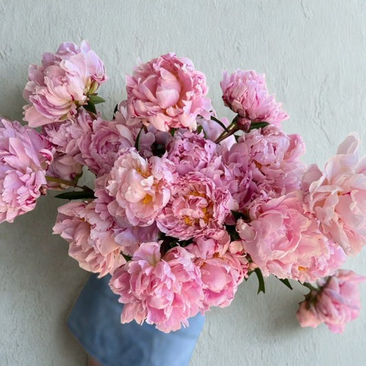 Florist Choice Fresh Flowers