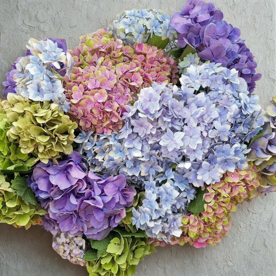 Florist Choice Fresh Flowers