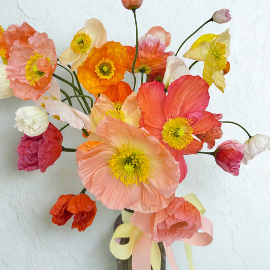 Poppy