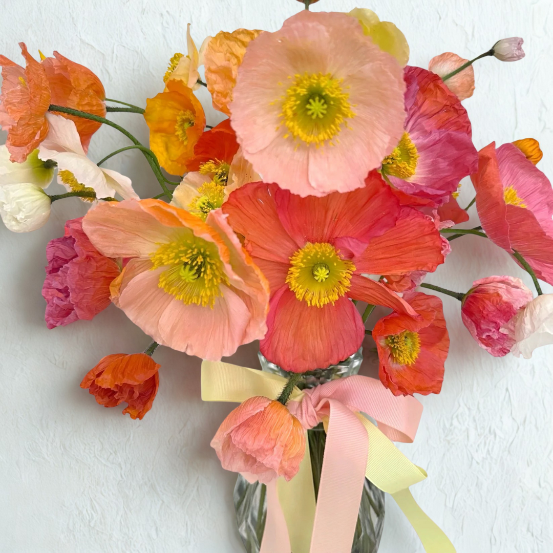Poppy