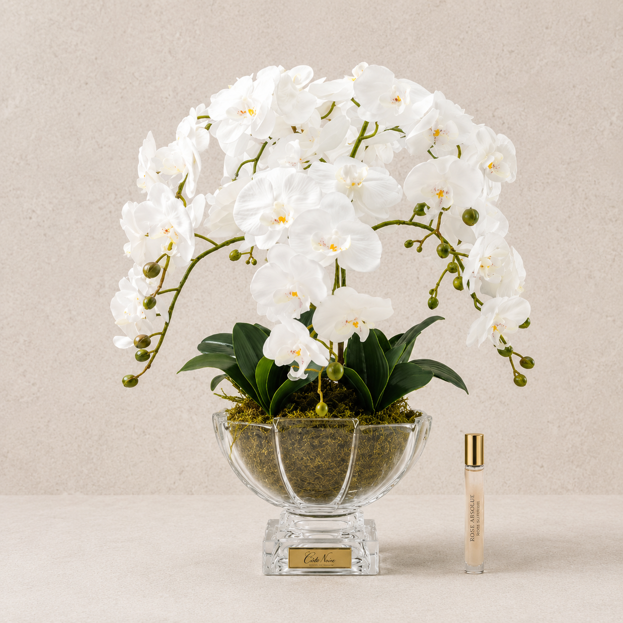 Cote Noire Luxury Orchid Centrepiece Bouquet | White
