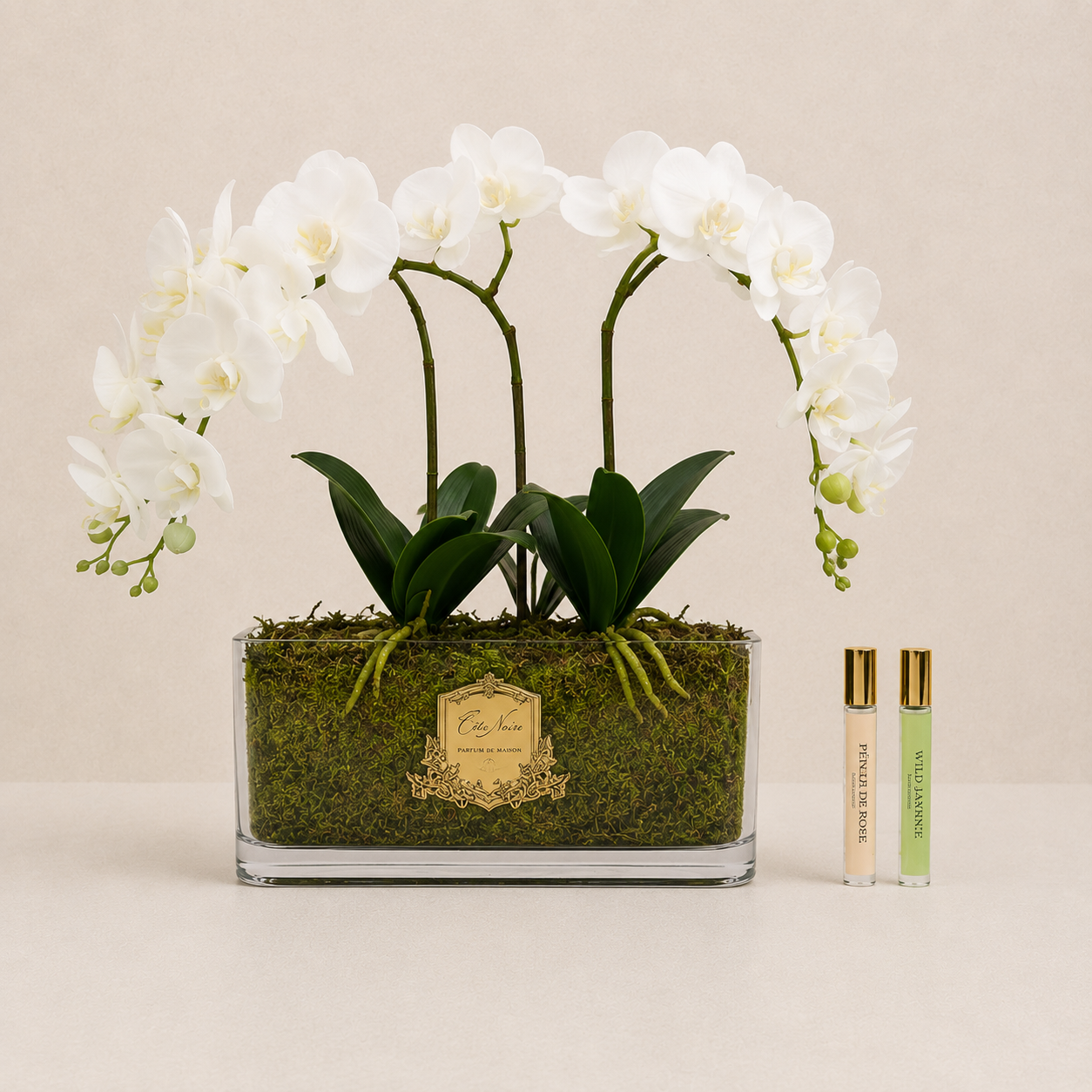 Cote Noire Orchid | White