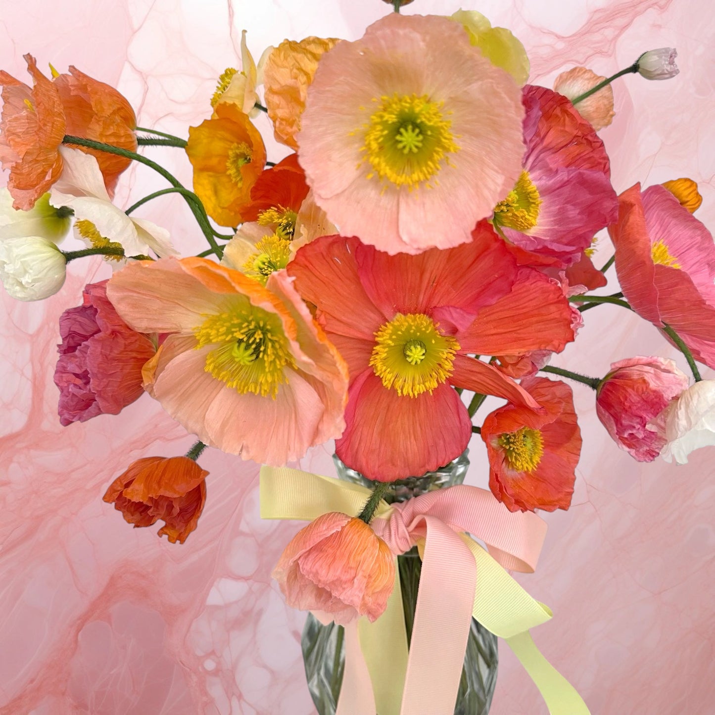 Poppy