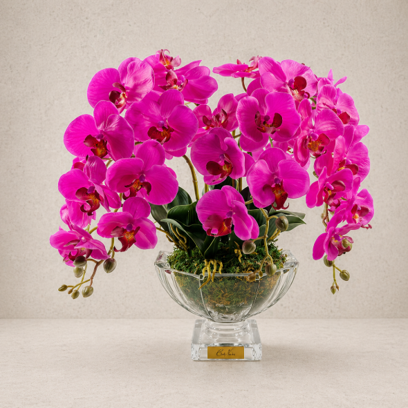 Cote Noire Orchid Luxury Centrepiece | Fuchsia