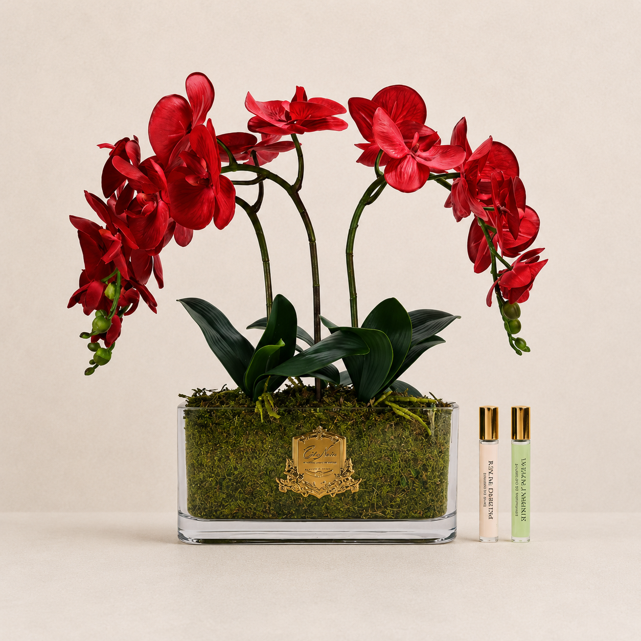 Cote Noire Orchid | Red
