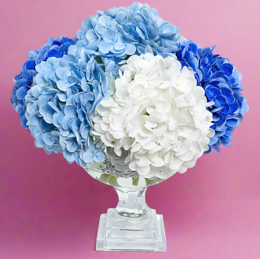 Cote Noire | Mixed Hydrangea