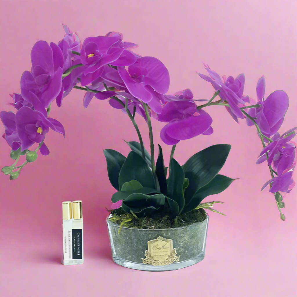 Cote Noire | Orchid