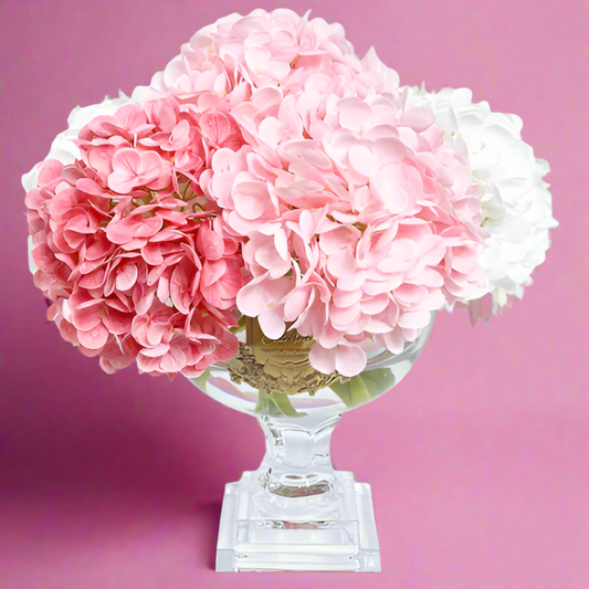 Cote Noire | Mixed Hydrangea