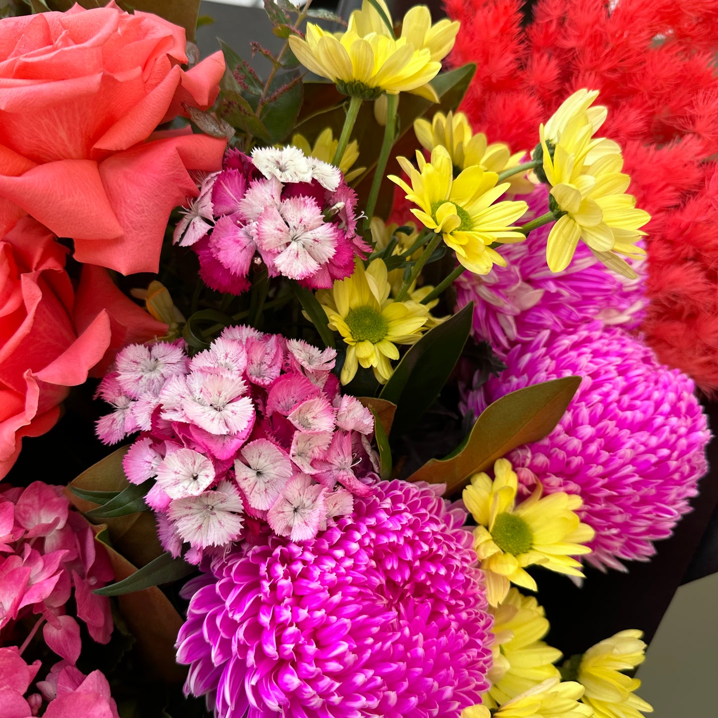 Bold & Bright
