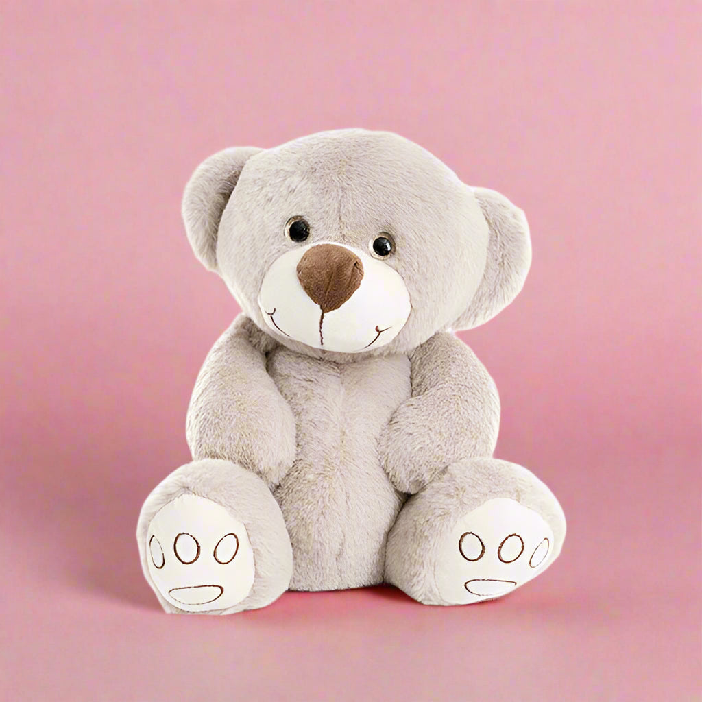 Harry Teddy Bear
