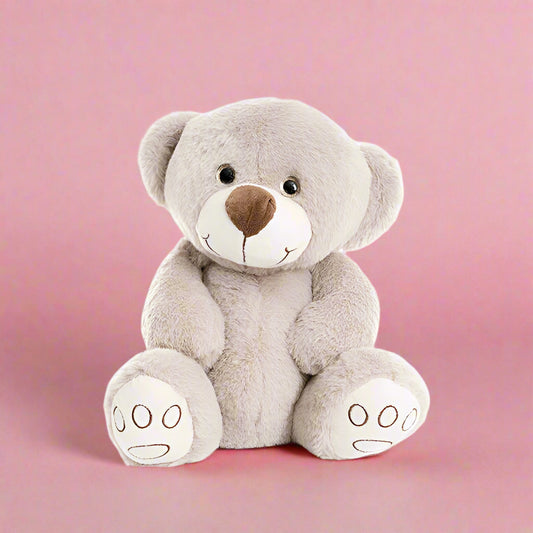 Harry Teddy Bear