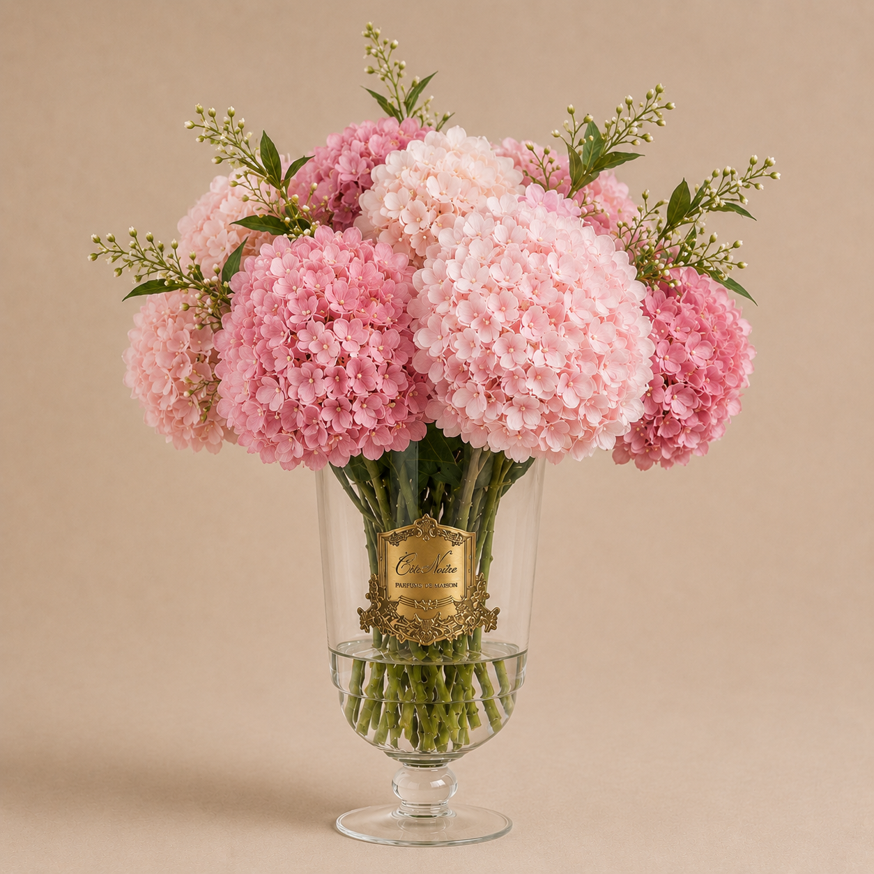 Cote Noire Grand Summer Hydrangea | Mixed Pink