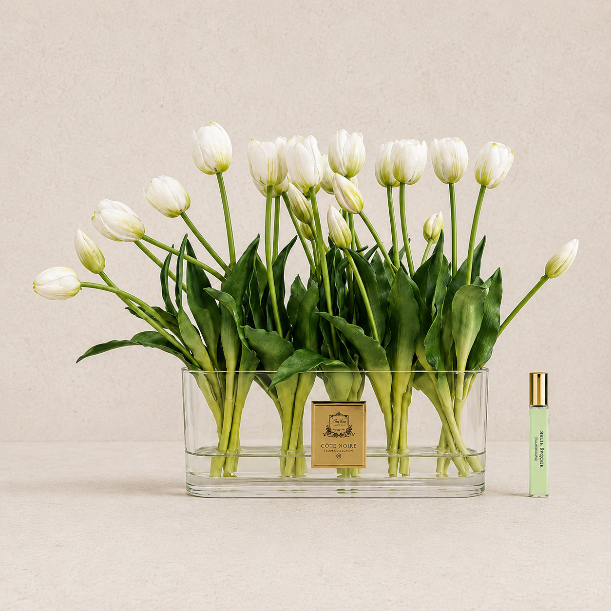 Cote Noire Oval Tulips | White
