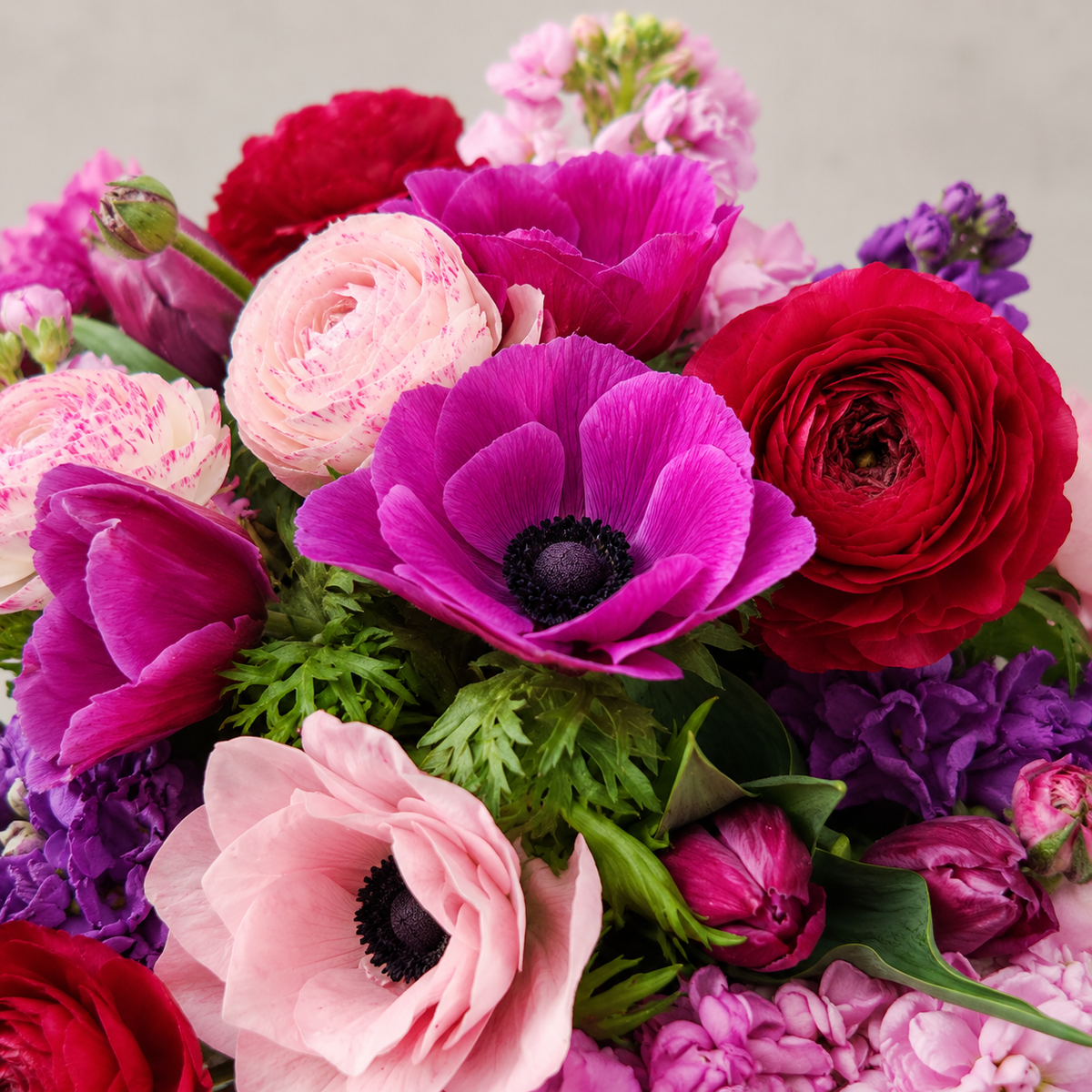 Five Acre Florets Mixed Farm Flowers close up showing purple anemones and red ranunculus
