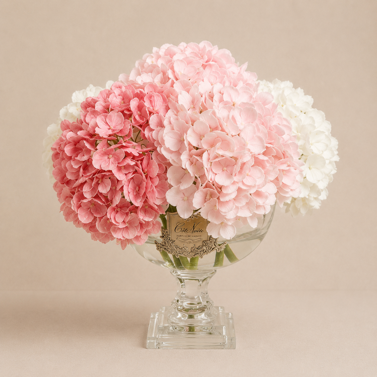 Cote Noire | Mixed Hydrangea