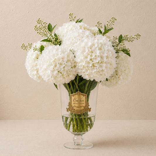 Cote Noire Grand Summer Hydrangea | White