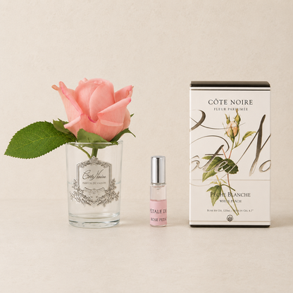 Cote Noire | Perfumed Rose Bud