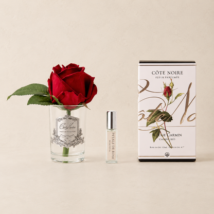 Cote Noire | Perfumed Rose Bud
