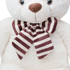 Liam Teddy Bear White