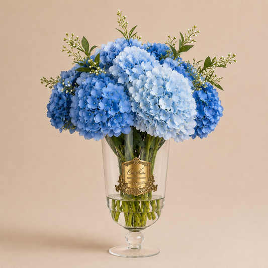 Cote Noire | Grand Summer Hydrangea