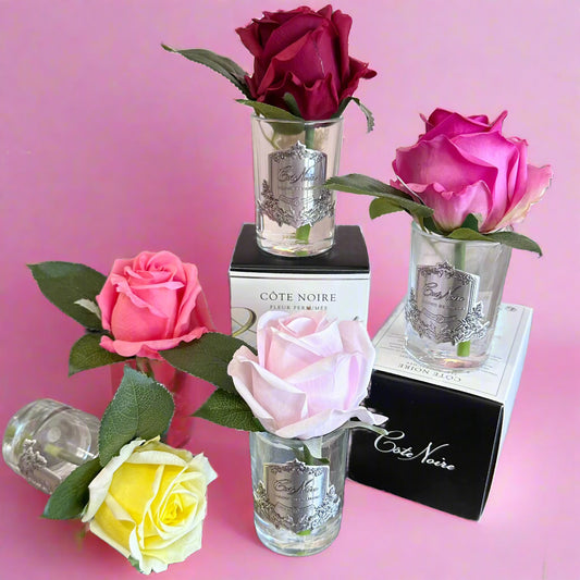 Cote Noire | Perfumed Rose Bud