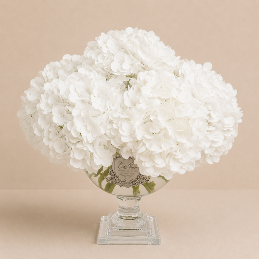 Cote Noire | Mixed Hydrangea