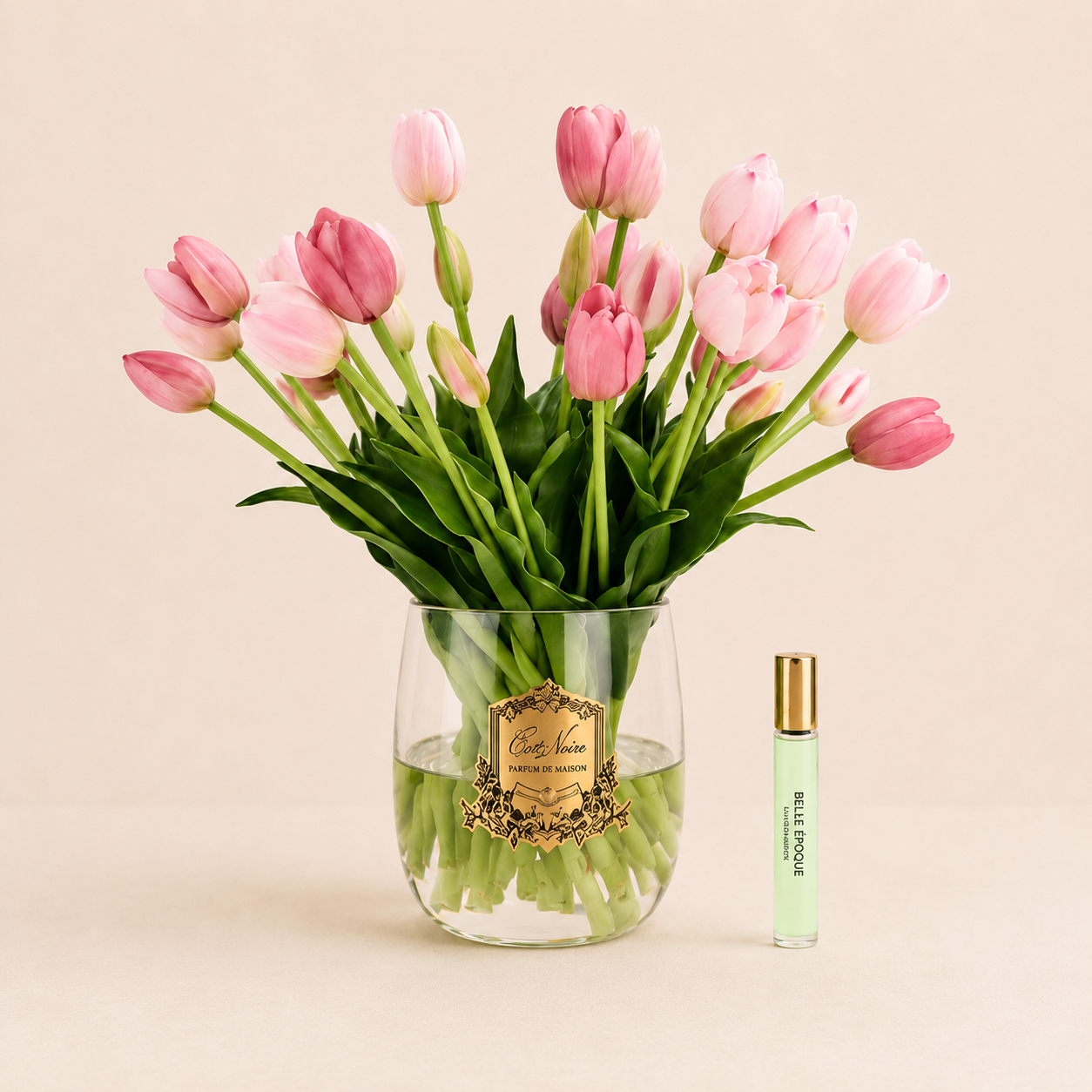 Cote Noire Heritage Tulips | Pink