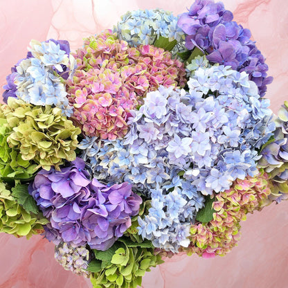 Florist Choice Fresh Flowers