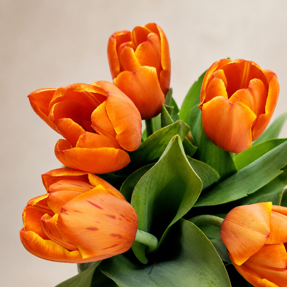 Five Acre Florets Tulip Vase