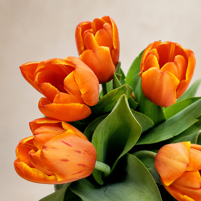 Five Acre Florets Tulip Vase