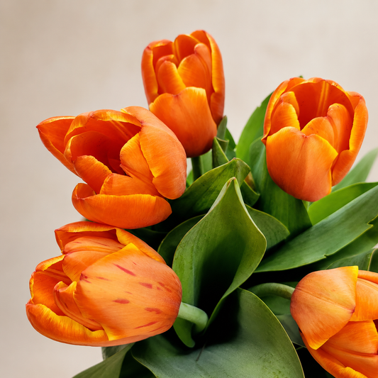 Five Acre Florets Tulip Vase