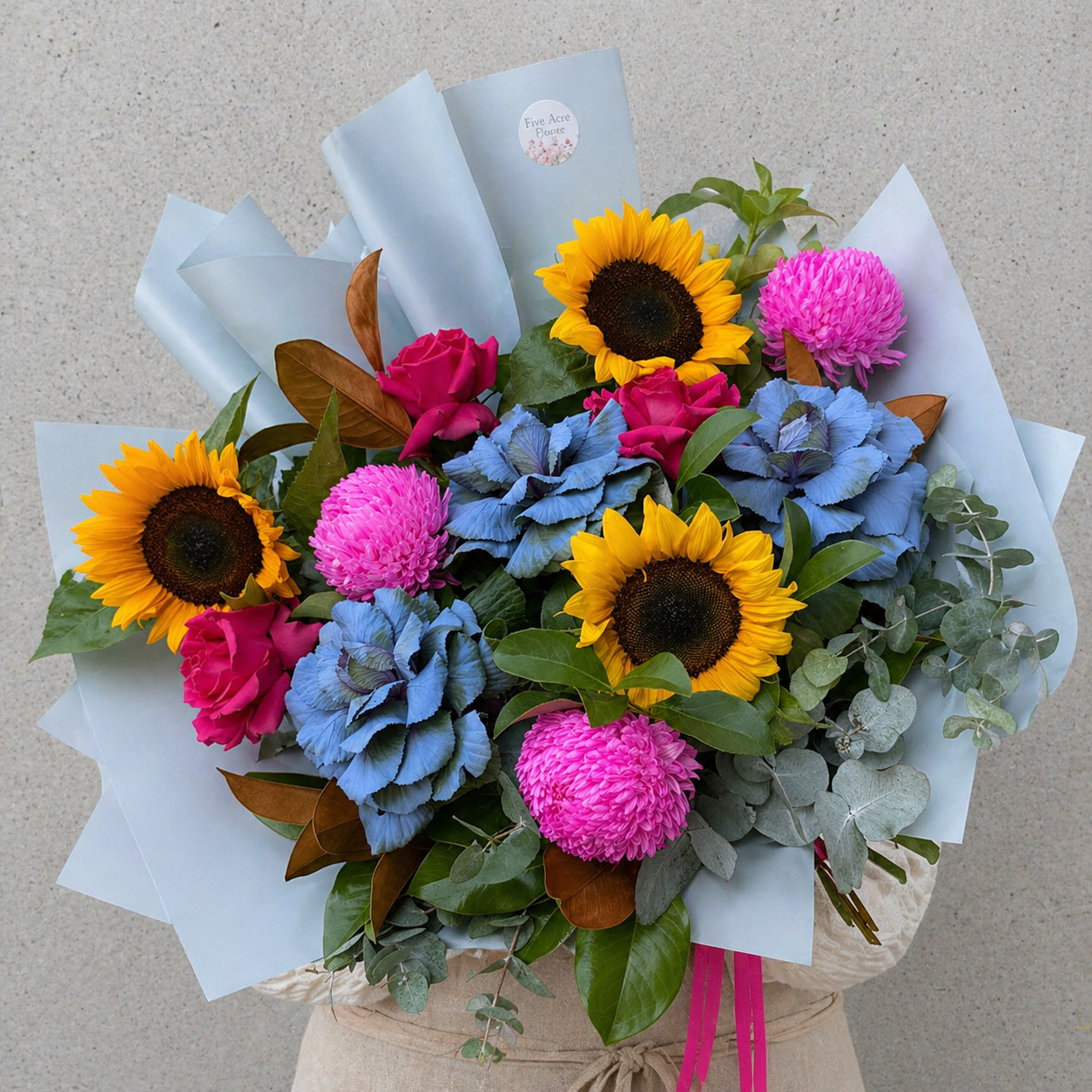 Bright & Colourful