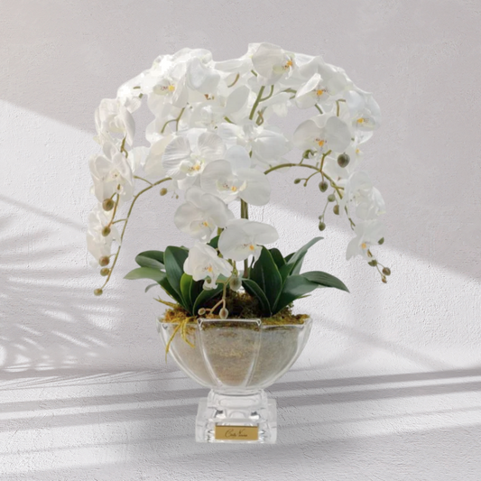 Cote Noire Luxury Orchid Centrepiece Bouquet - White & Gold Badge
