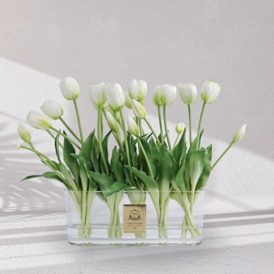 Cote Noire Oval Tulips - White