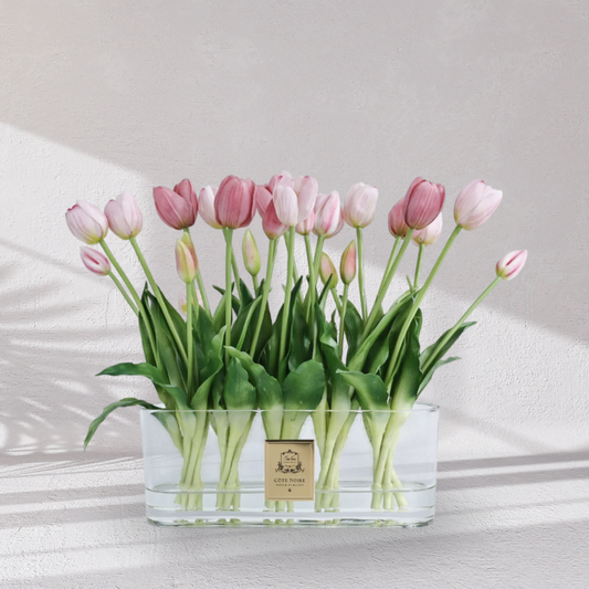 Cote Noire Oval Tulips - Pink