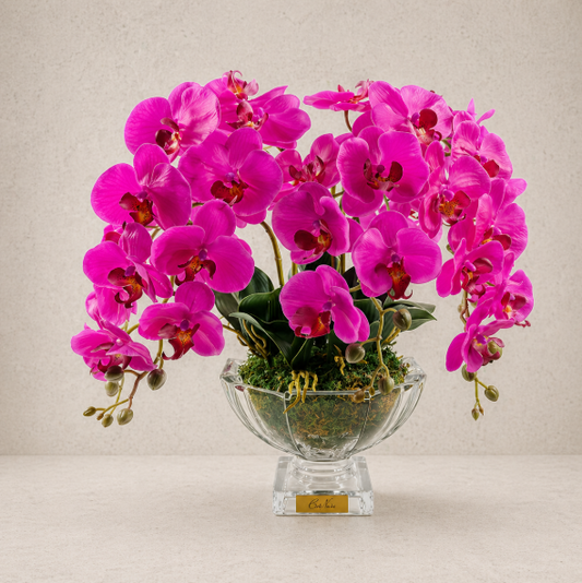 Cote Noire | Large Luxury Orchid