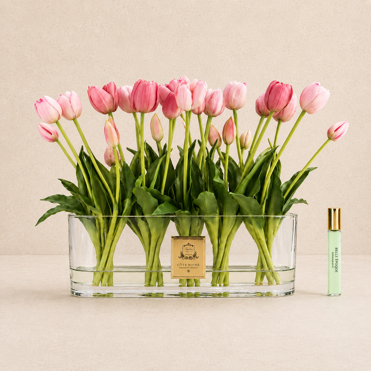 Cote Noire Oval Tulips | Pink