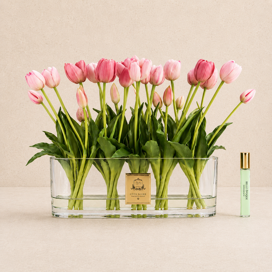 Cote Noire Oval Tulips | Pink