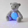 Bear Plush Night Light | Jiggle & Giggle