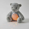 Bear Plush Night Light | Jiggle & Giggle