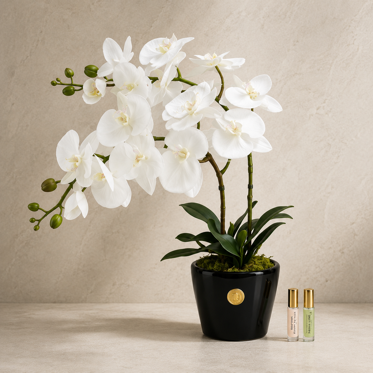 Côte Noire - Double Orchid - Piano Black / White