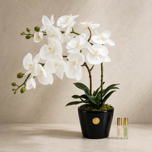 Côte Noire - Double Orchid - Piano Black / White