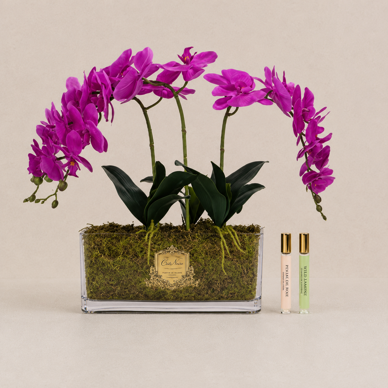 Cote Noire Orchid | Fuchsia