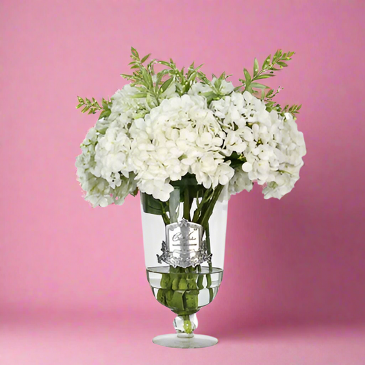 Cote Noire | Grand Summer Hydrangea