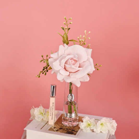 Cote Noire | Summer Rose