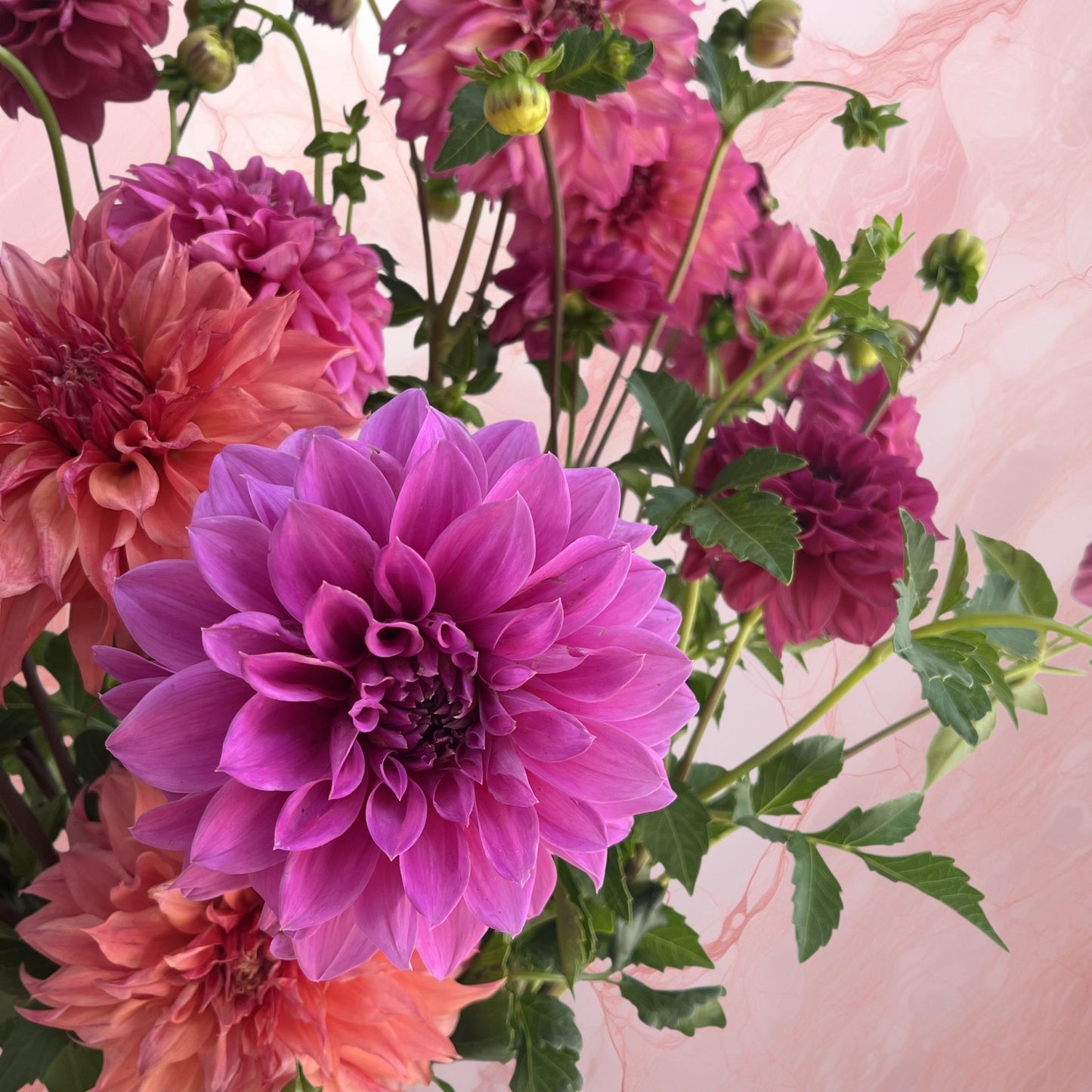 Florist Choice Fresh Flowers